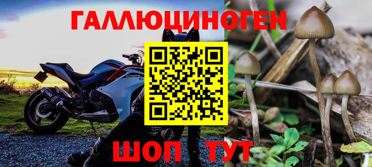 Псилоцибиновые грибы ЛСД Жуковский